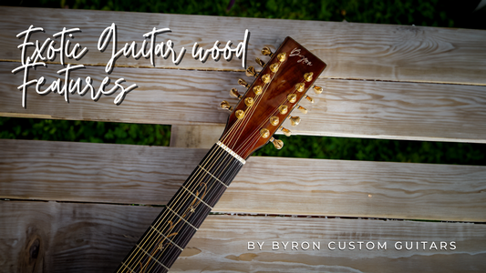 From Mahogany to Zebrawood: Understanding Exotic Guitar Wood Features