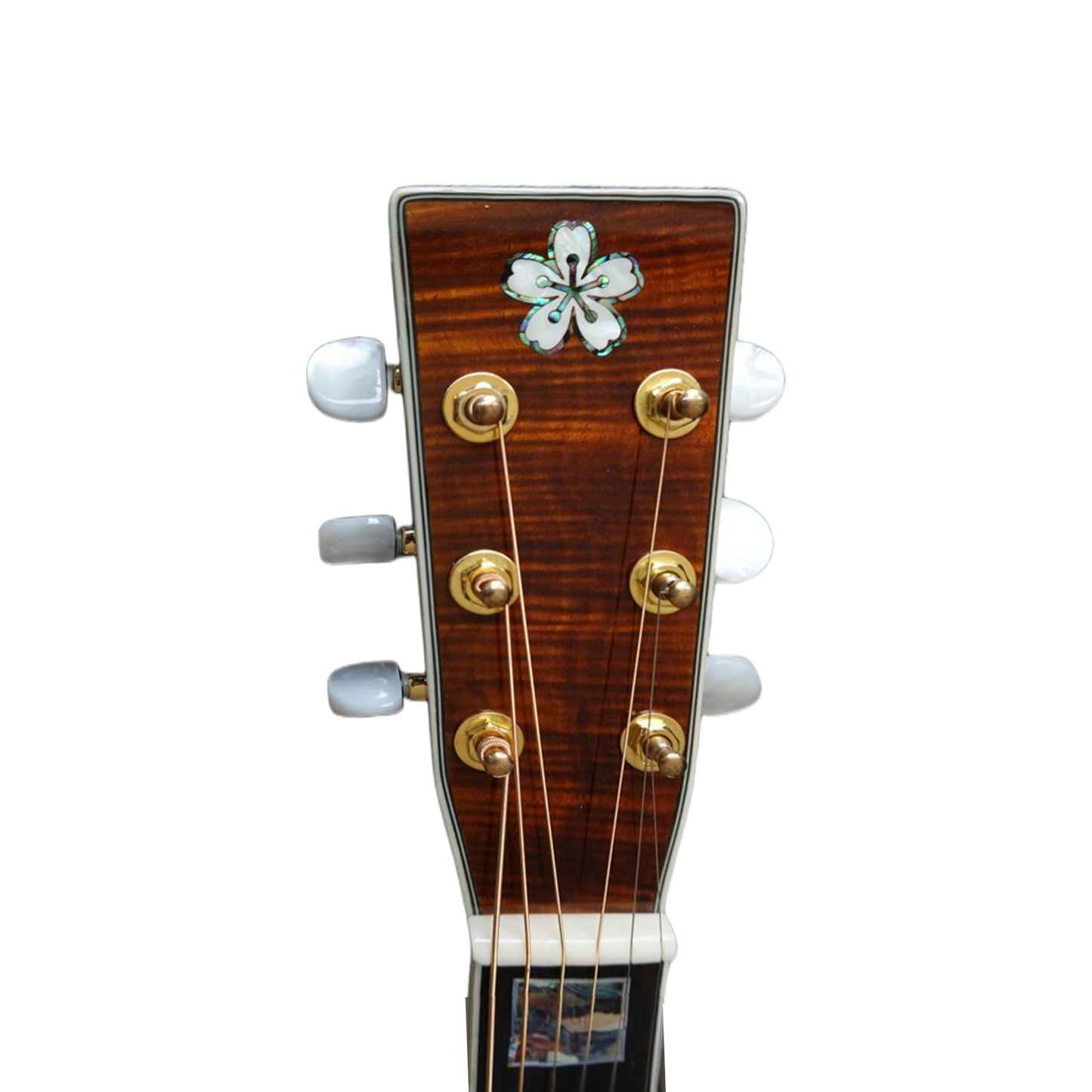 Die Coco maßgefertigte vollmassive Cocobolo-Holz Little Flower Dreadnought Slope Gitarre