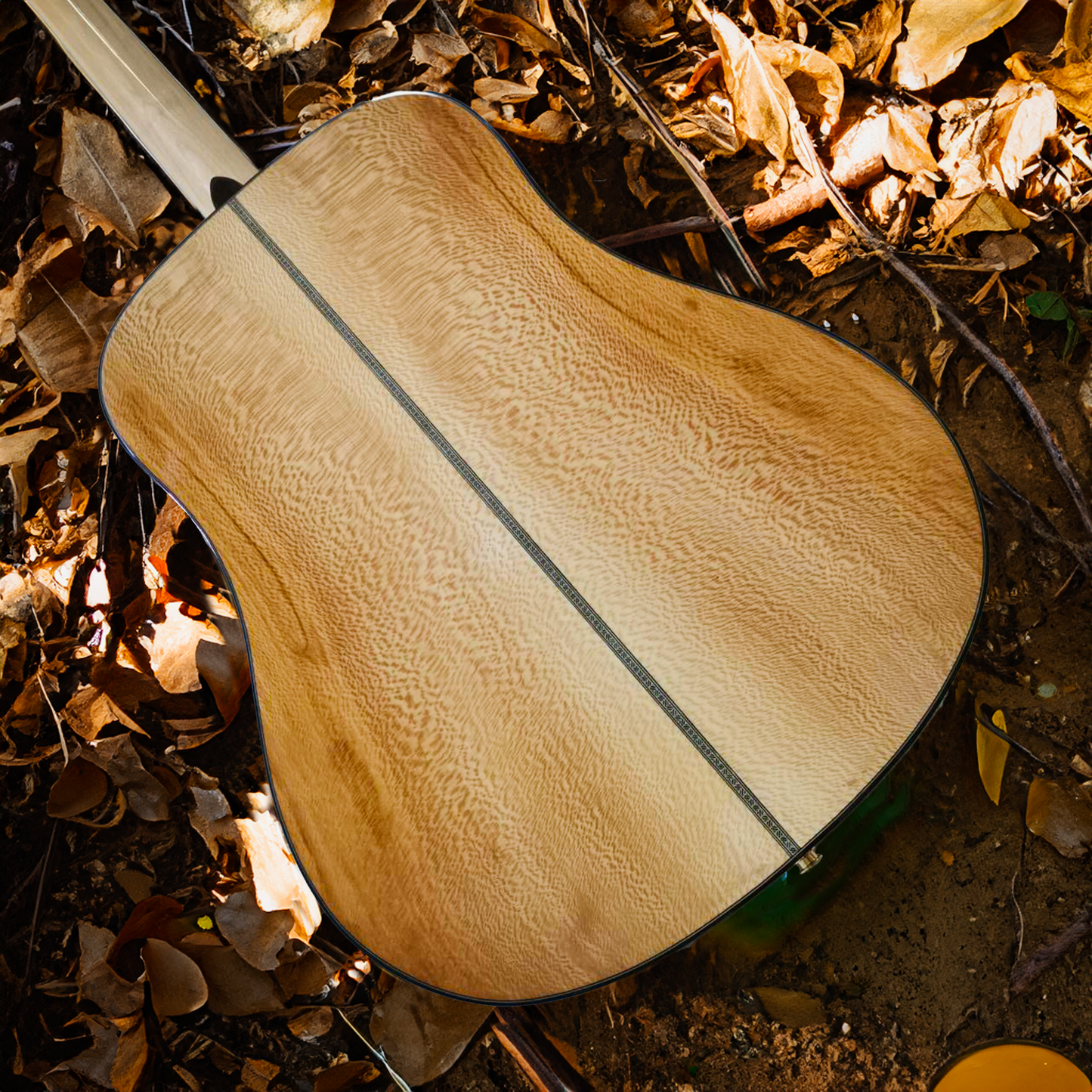 American Sycamore Pro Dreadnought Gitarre