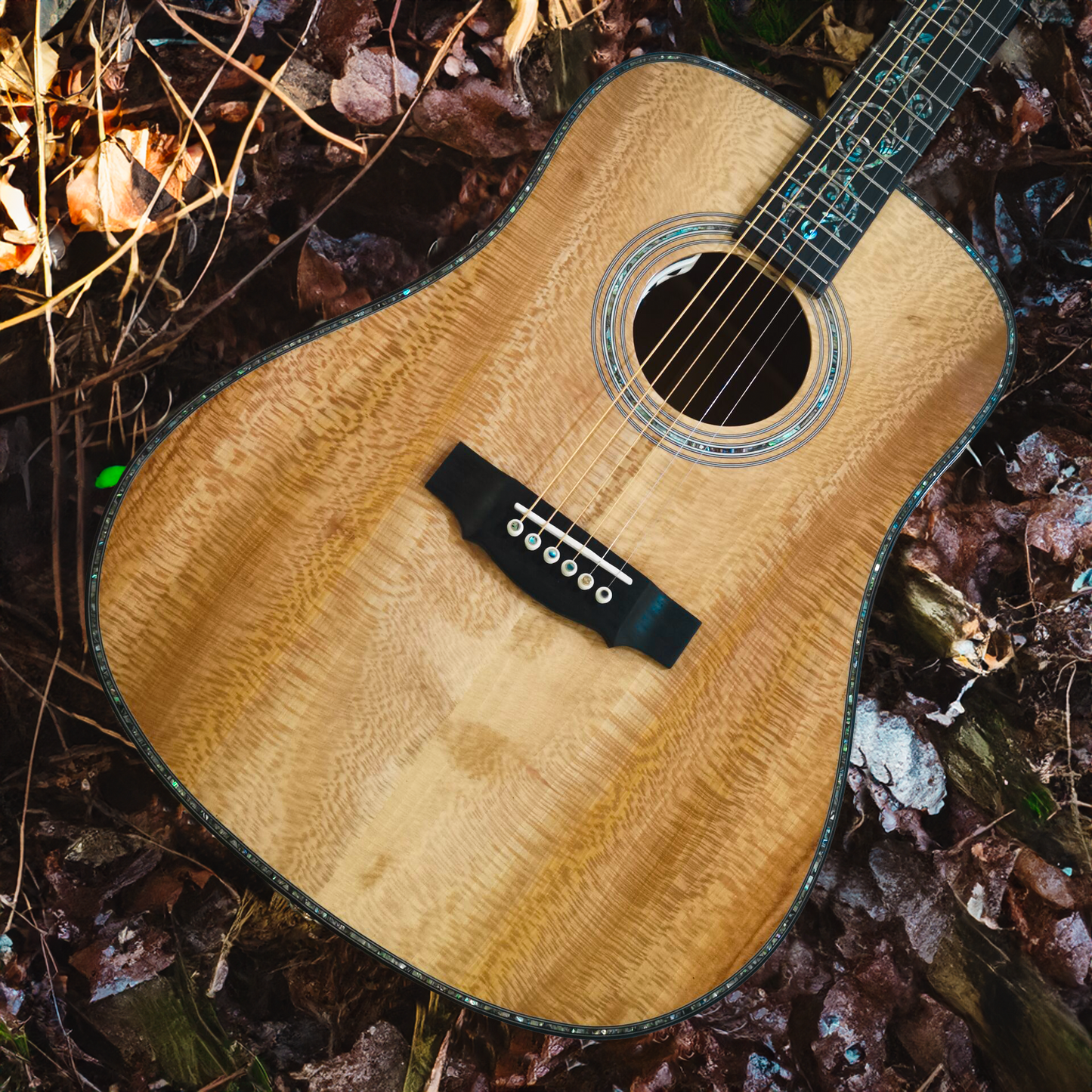 American Sycamore Pro Dreadnought Gitarre