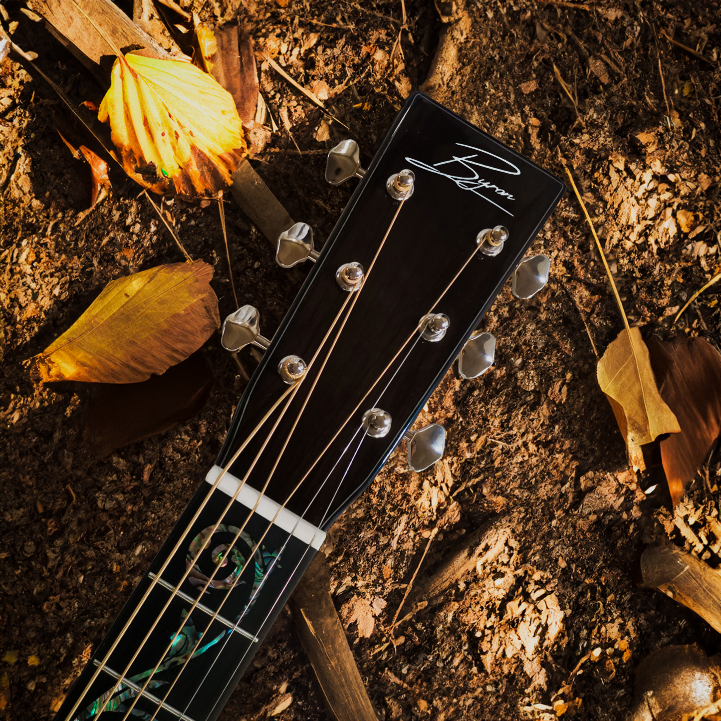 American Sycamore Pro Dreadnought Gitarre