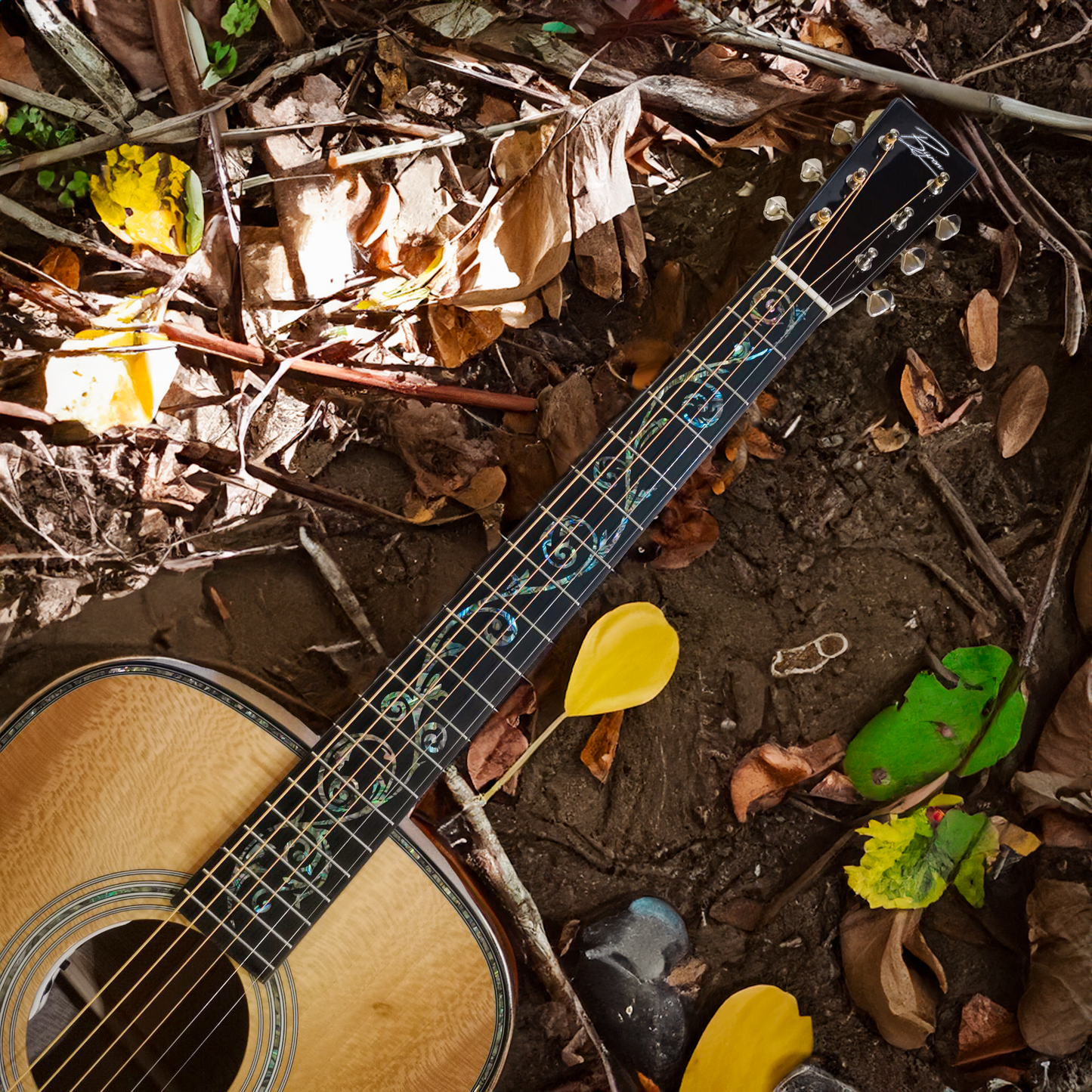 American Sycamore Pro Dreadnought Gitarre