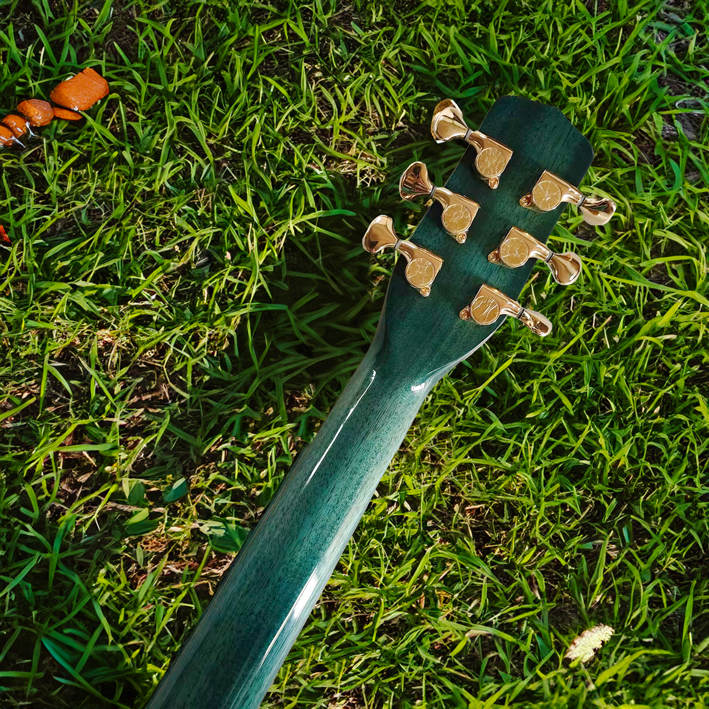 Byron Dreadnought Koi Guitar acoustic electric