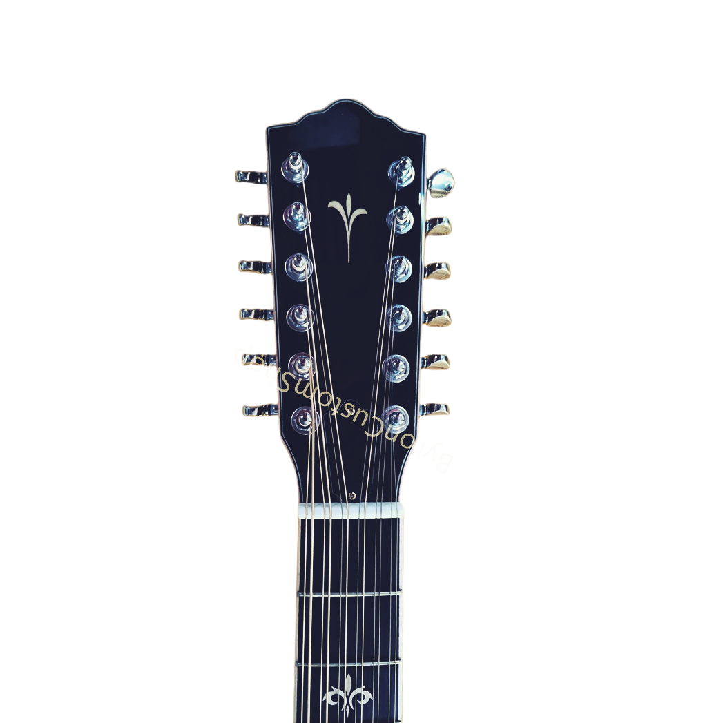 12 Strings The Lead Belly all solid wood acoustic electric guitar Jumbo Guitarra professional with case