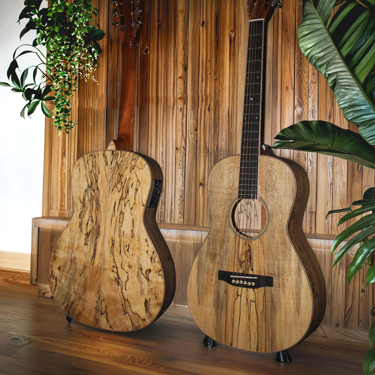 The Maple Dreamer – Byron O Body Parlor Spalted Maple Guitar