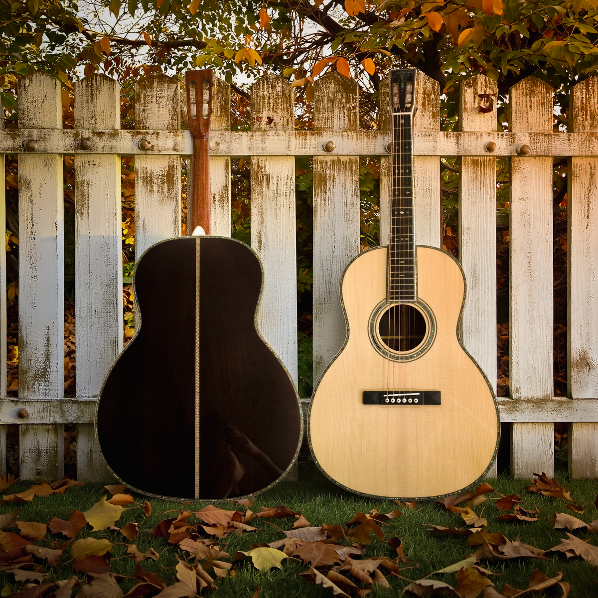 Byron Sid Spruce OOO All-Solid German Spruce & Indian Rosewood Acoustic Guitar