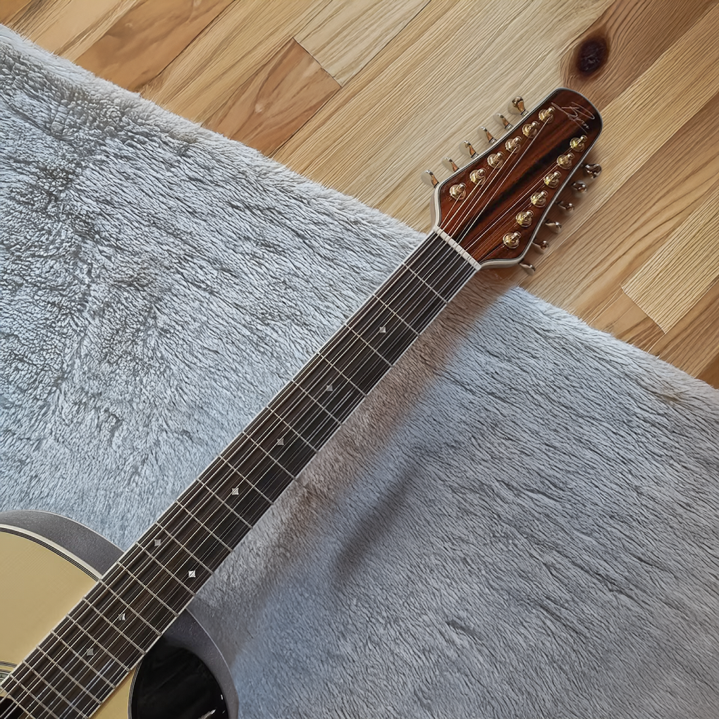 Byron S12 40-Inch Half-Cutaway 12-String Acoustic Electric Guitar