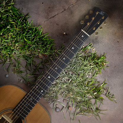 Byron All-Solid Cedar & Walnut Dreadnought Acoustic-Electric Guitar