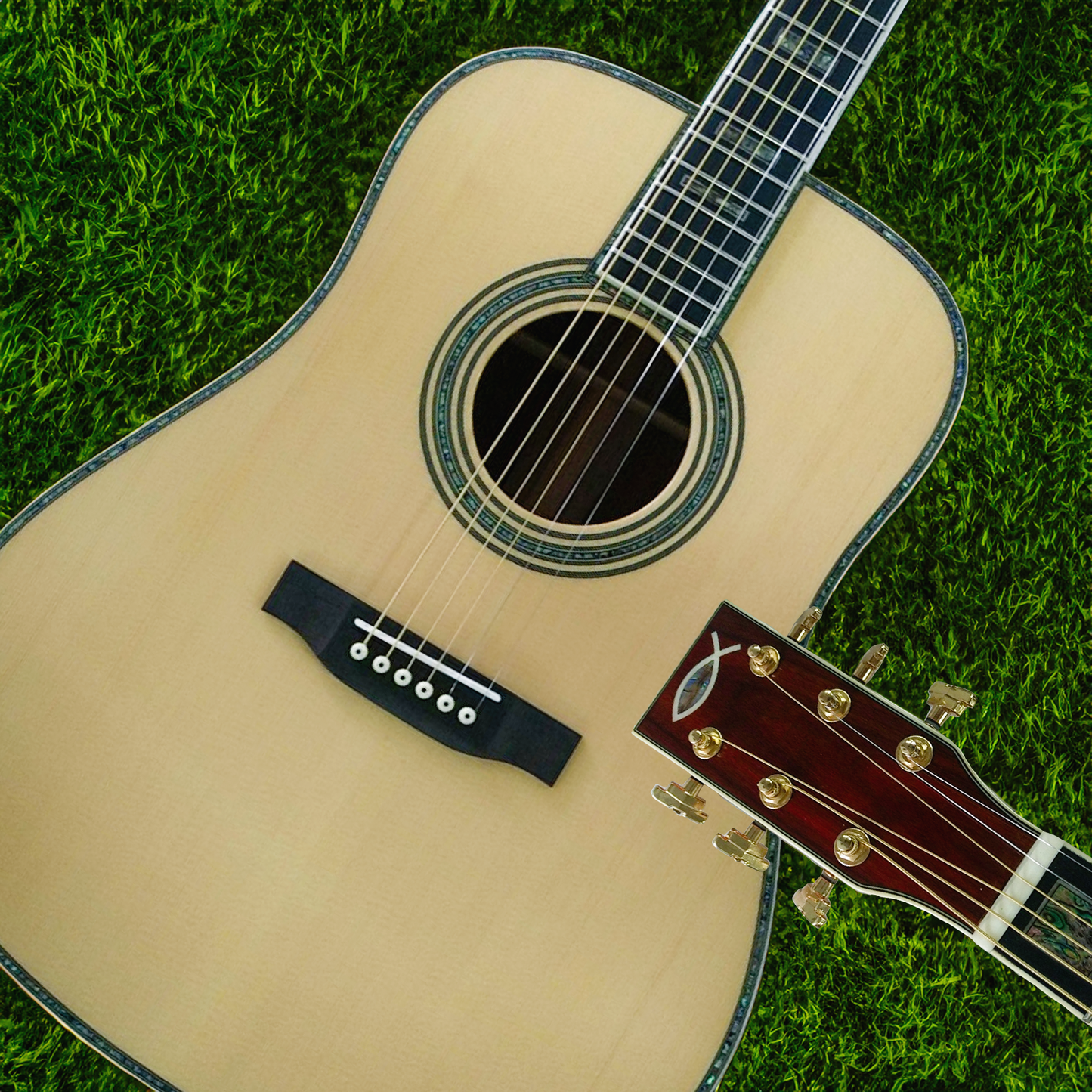 The Amnesia-2 Customize Cocobolo Wood Dreadnought Guitar