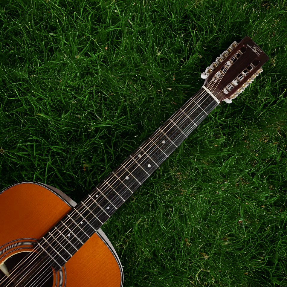 Byron 12-String Dreadnought Guitar with Slotted Headstock – All Solid Wood
