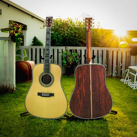 The Amnesia-2 Customize Cocobolo Wood Dreadnought Guitar