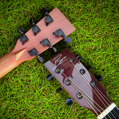 The Walnut Dreadnought Custom Acoustic Electric Guitar