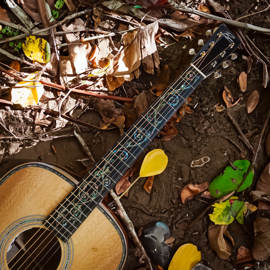 American Sycamore Pro Dreadnought Guitar